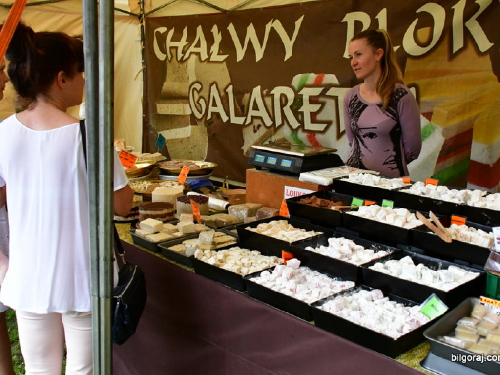 Biłgorajski Dzień Dziecka - Festiwal Czekolady i Słodyczy (FOTO)