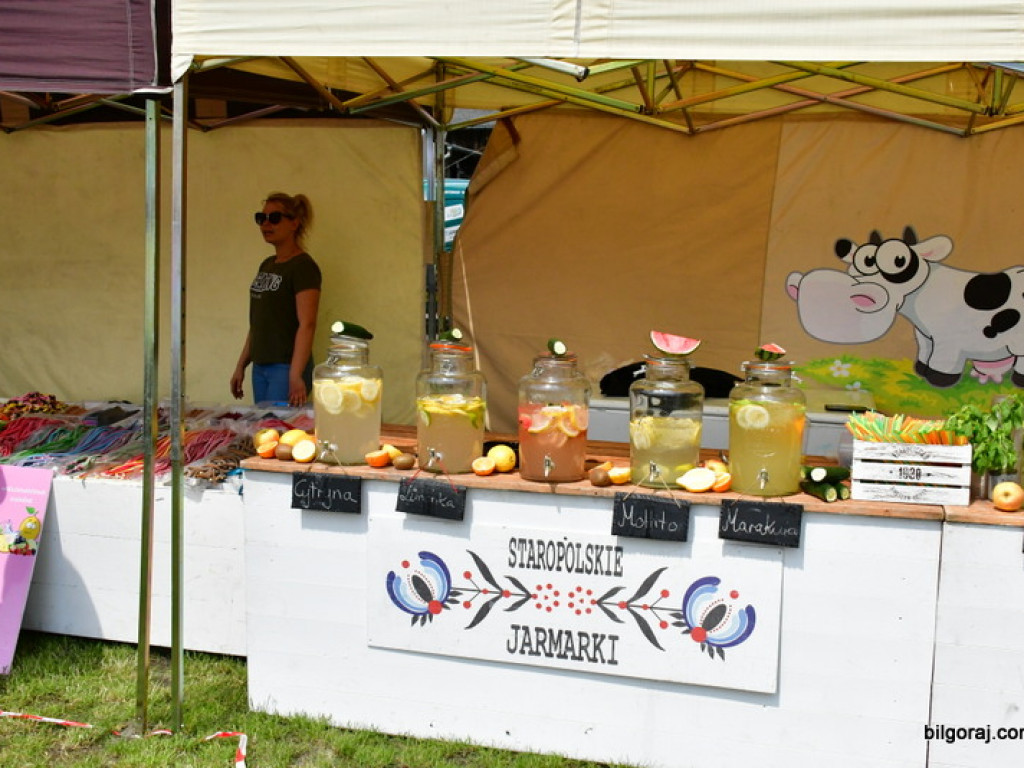 Biłgorajski Dzień Dziecka - Festiwal Czekolady i Słodyczy (FOTO)