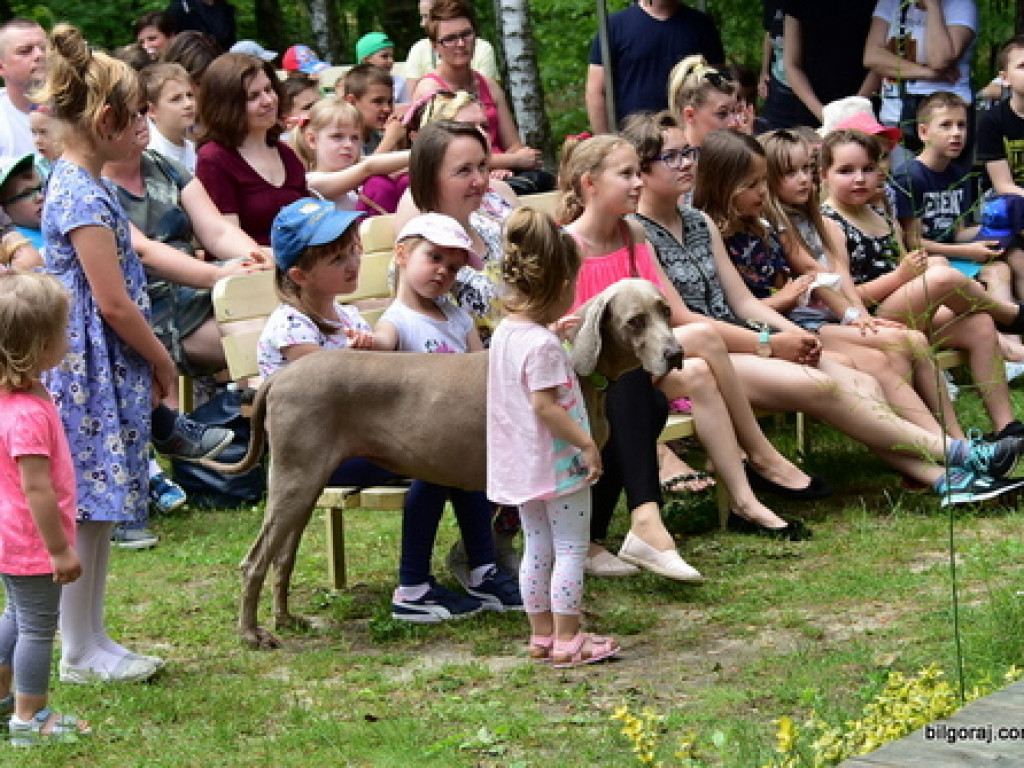 Integracyjny Dzień Dziecka w Nadrzeczu