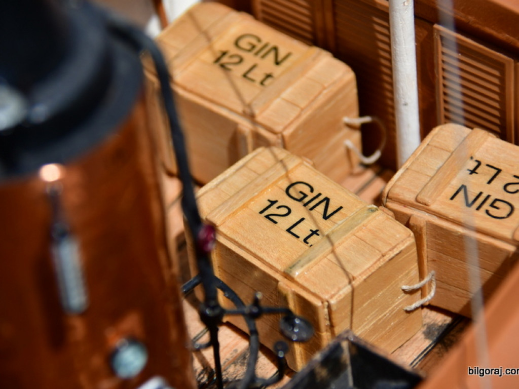 Zawody Modeli Pływających Zdalnie Sterowanych o Puchar Burmistrza Miasta Biłgoraj (FOTO)