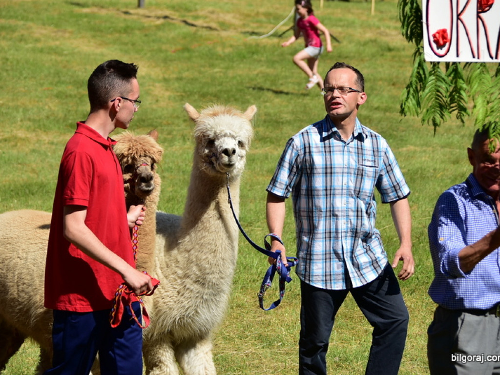 Turniej wsi z czarem par (FOTO, WYNIKI)