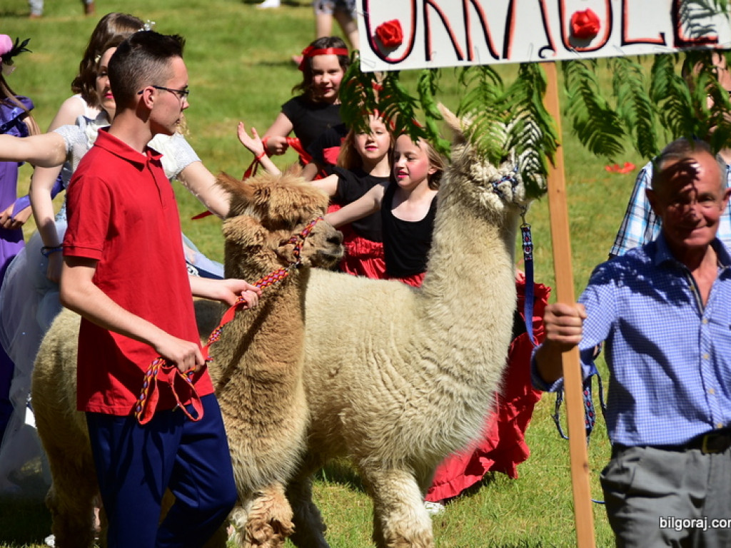 Turniej wsi z czarem par (FOTO, WYNIKI)