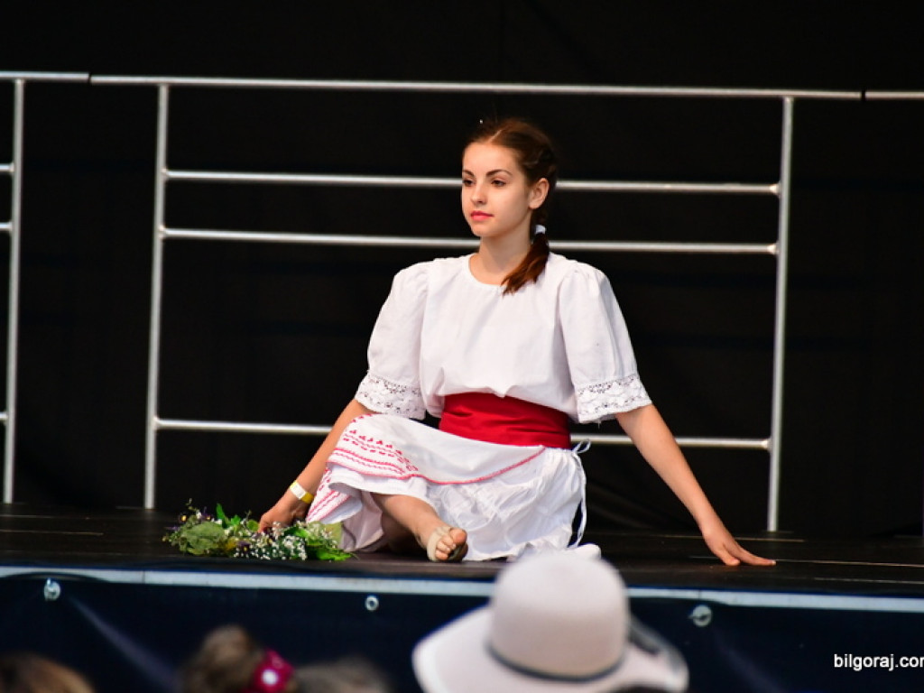 Ruszyły Dni Biłgoraja. Święto Miasta rozpoczęło się od tanecznego widowiska (FOTO)