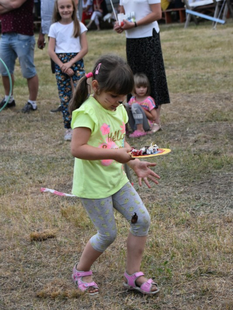 Piknik rodzinny w Dąbrowicy (FOTO)