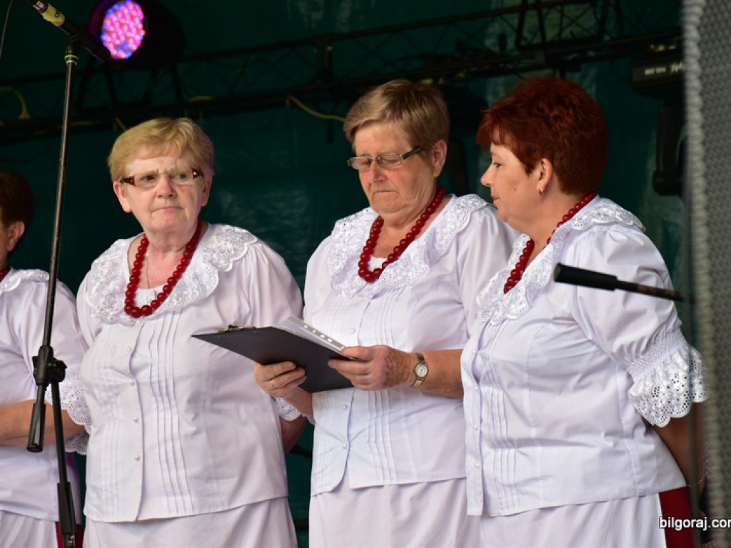 Piknik rodzinny w Dąbrowicy (FOTO)