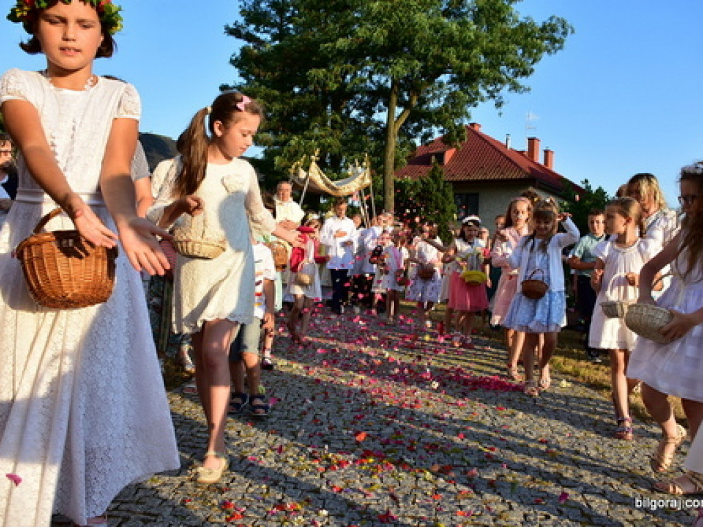 Oktawa Bożego Ciała. Wierni w procesjach do czterech ołtarzy i święcenie wianków (FOTO)