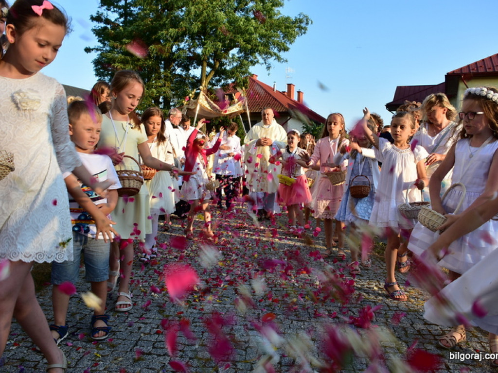 Oktawa Bożego Ciała. Wierni w procesjach do czterech ołtarzy i święcenie wianków (FOTO)