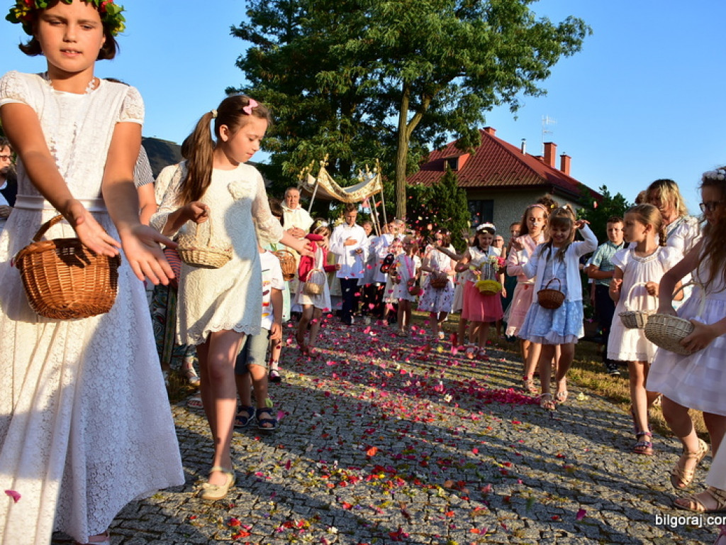 Oktawa Bożego Ciała. Wierni w procesjach do czterech ołtarzy i święcenie wianków (FOTO)