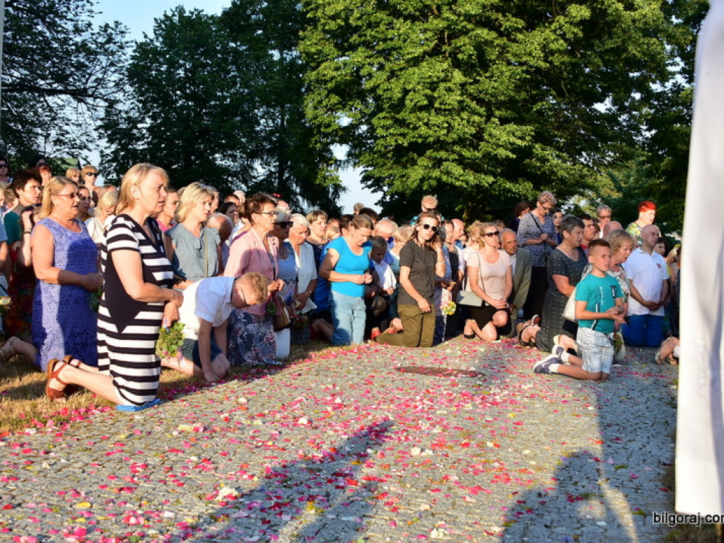 Oktawa Bożego Ciała. Wierni w procesjach do czterech ołtarzy i święcenie wianków (FOTO)
