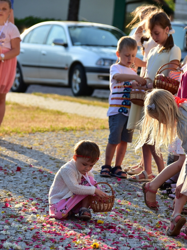 Oktawa Bożego Ciała. Wierni w procesjach do czterech ołtarzy i święcenie wianków (FOTO)