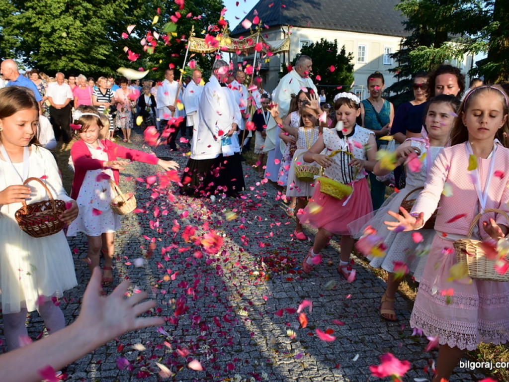 Oktawa Bożego Ciała. Wierni w procesjach do czterech ołtarzy i święcenie wianków (FOTO)