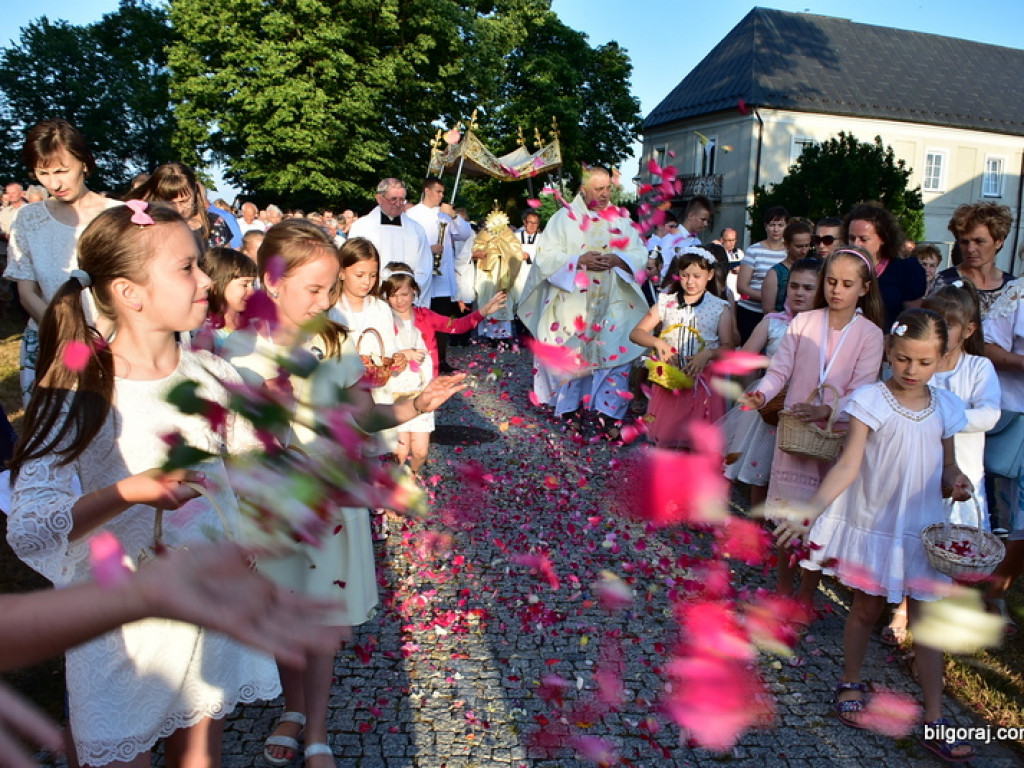 Oktawa Bożego Ciała. Wierni w procesjach do czterech ołtarzy i święcenie wianków (FOTO)