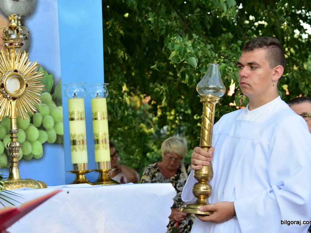 Oktawa Bożego Ciała. Wierni w procesjach do czterech ołtarzy i święcenie wianków (FOTO)