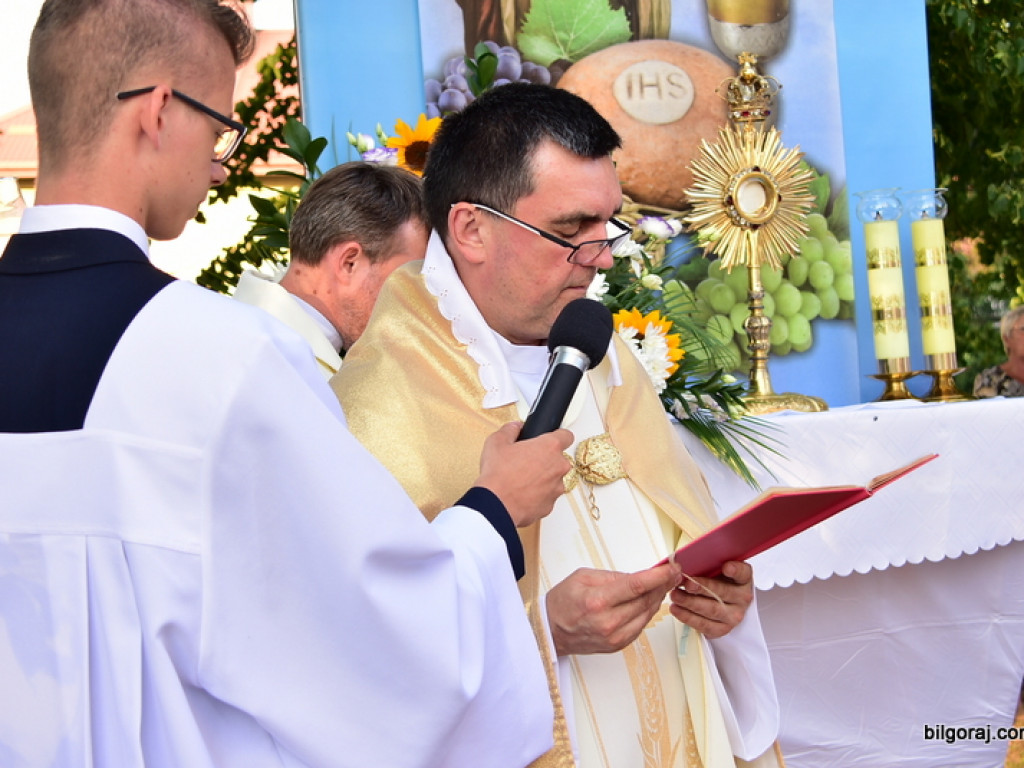 Oktawa Bożego Ciała. Wierni w procesjach do czterech ołtarzy i święcenie wianków (FOTO)