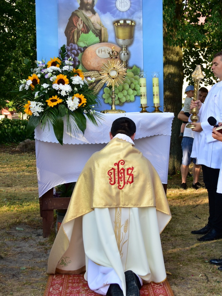 Oktawa Bożego Ciała. Wierni w procesjach do czterech ołtarzy i święcenie wianków (FOTO)