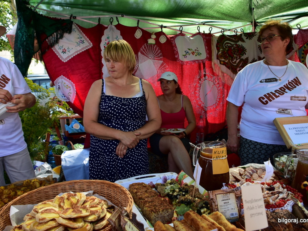 Turniej miejscowości w Gminie Frampol (FOTO)