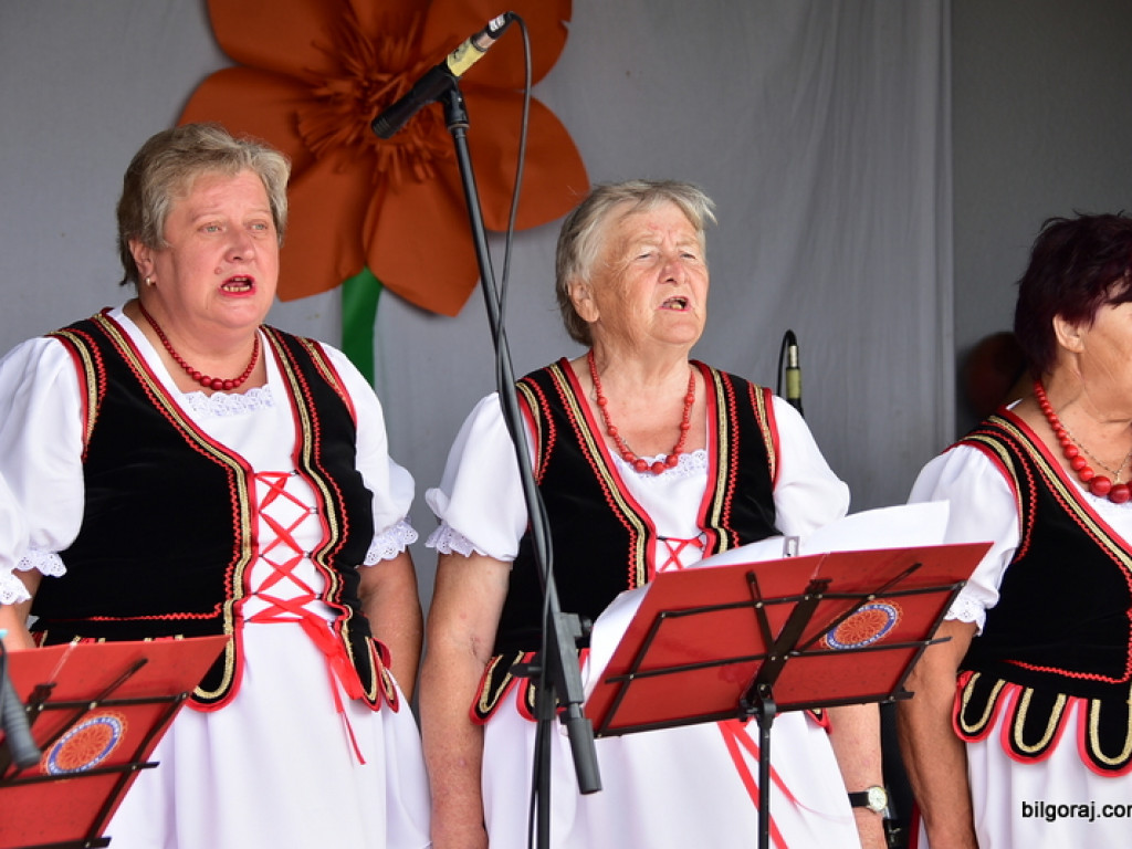 Konkurs piosenki partyzanckiej w Aleksandrowie (FOTO)