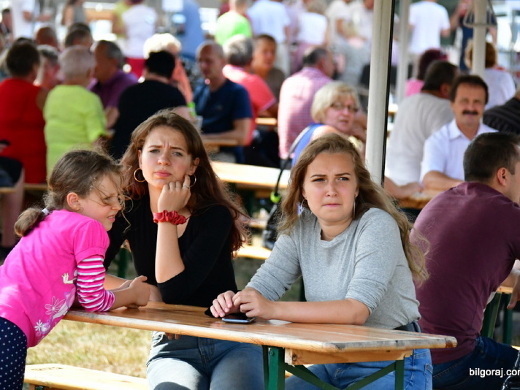 Bukowskie jagodzianki (FOTO)