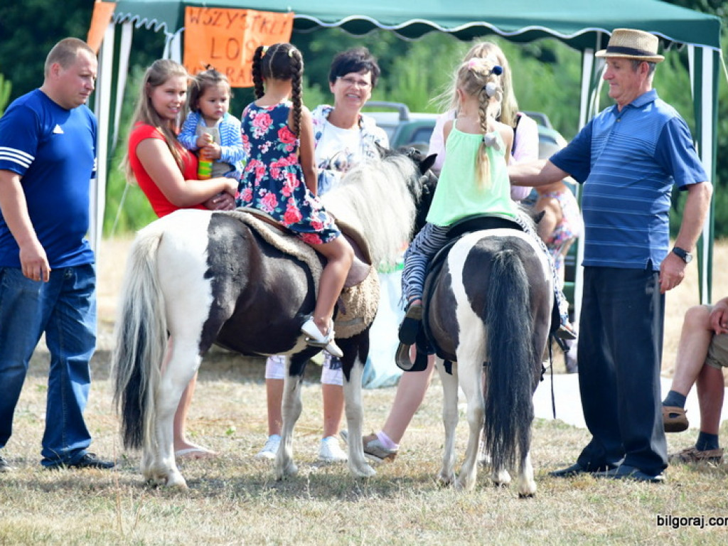 Bukowskie jagodzianki (FOTO)