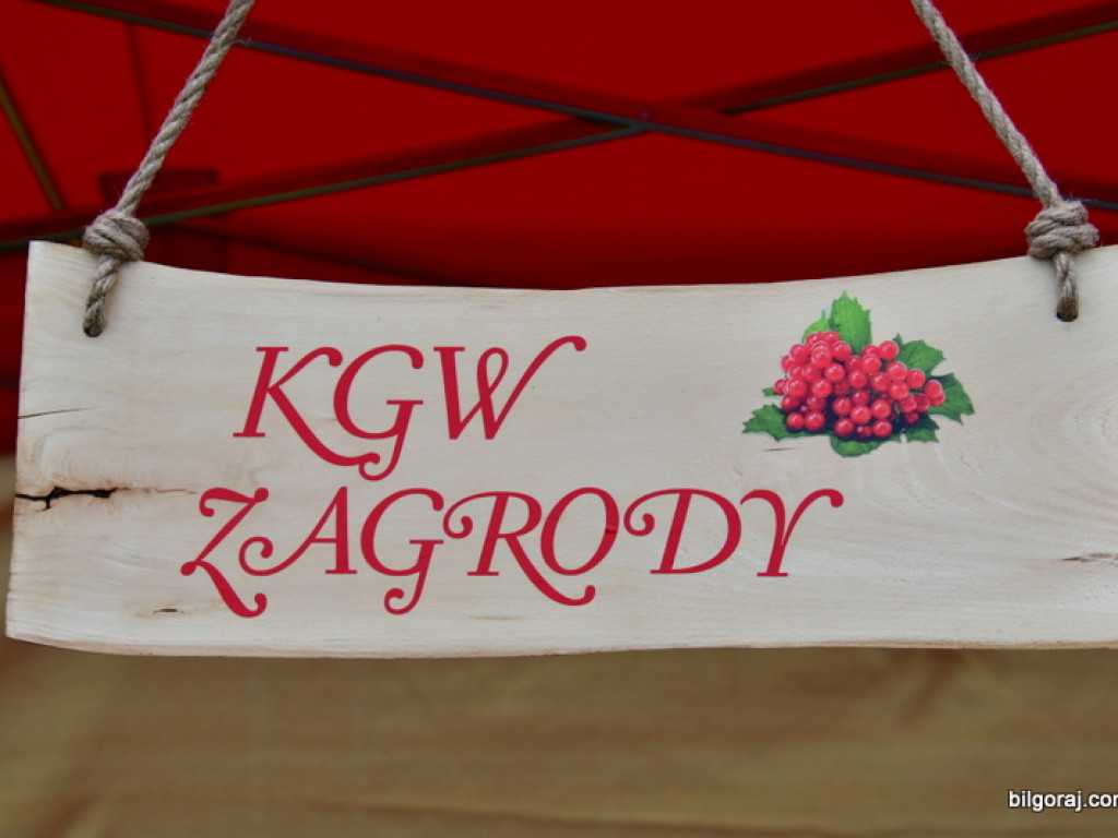 Festyn rodzinny w Goraju. Czyli występy artystyczne i tradycyjna kuchnia oraz atrakcje dla dzieci (FOTO)