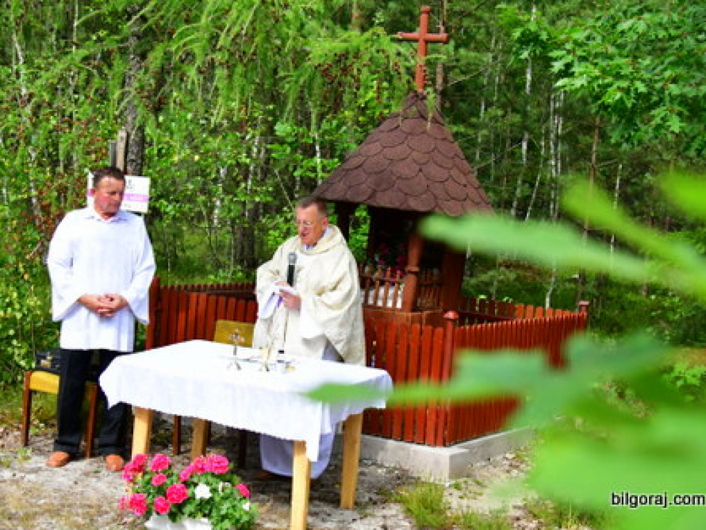Odpust na Pszczelnej, u Matki Bożej Grzybnej (FOTO)