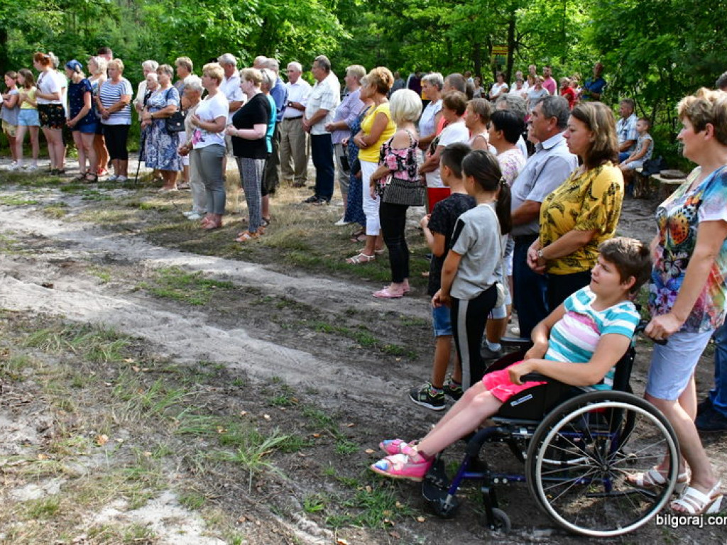 Odpust na Pszczelnej, u Matki Bożej Grzybnej (FOTO)