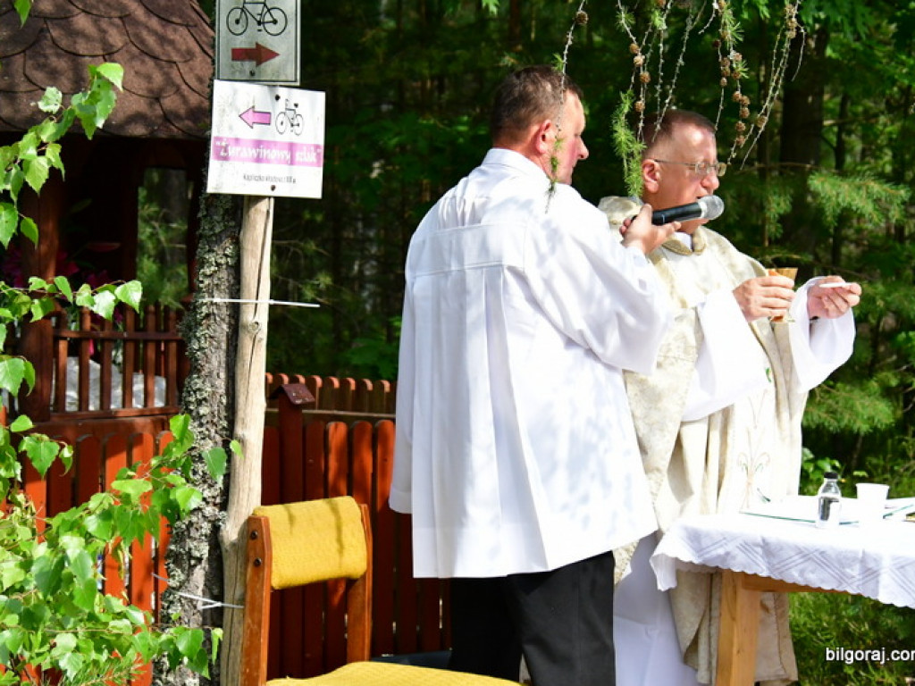 Odpust na Pszczelnej, u Matki Bożej Grzybnej (FOTO)