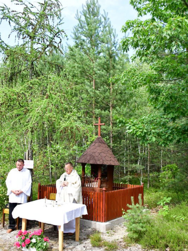 Odpust na Pszczelnej, u Matki Bożej Grzybnej (FOTO)