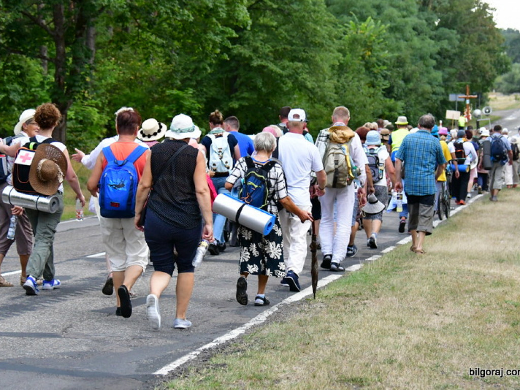 Pątnicy są już w granicach naszego Powiatu. Pielgrzymi w drodze na Jasną Górę zawitali do Józefowa i Zamchu (FOTO)