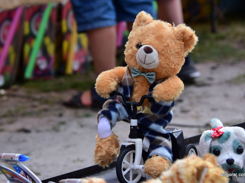 W Józefowie rozpoczął się Eko Festiwal (FOTO)