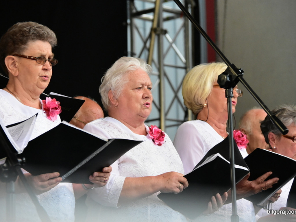 Na patriotyczną nutę by uczcić chlubę polskiego orężą (FOTO, VIDEO)