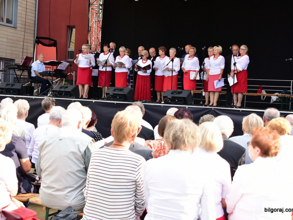 Na patriotyczną nutę by uczcić chlubę polskiego orężą (FOTO, VIDEO)