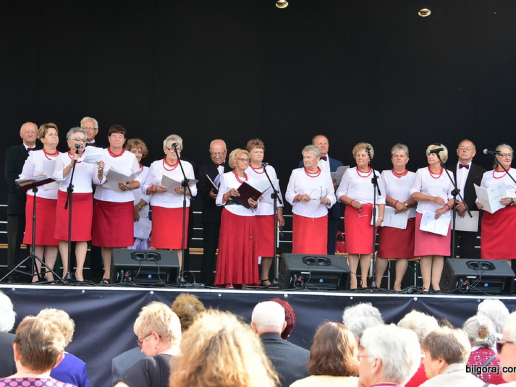 Na patriotyczną nutę by uczcić chlubę polskiego orężą (FOTO, VIDEO)