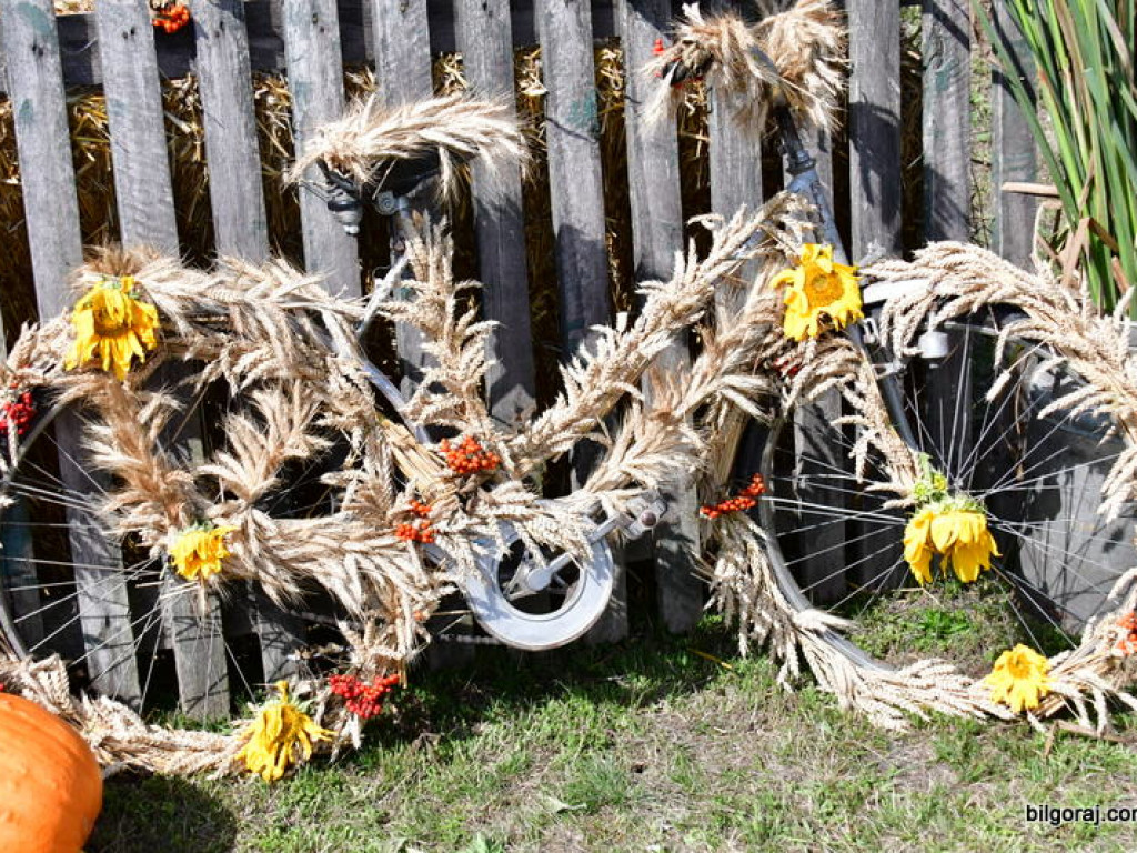 Dożynki w Gminie Tarnogród. Rolnicy świętowali w Luchowie Górnym (FOTO)