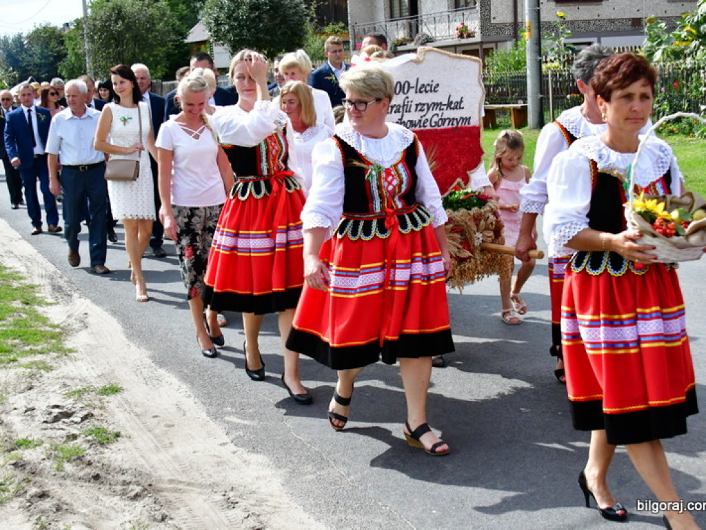 Dożynki w Gminie Tarnogród. Rolnicy świętowali w Luchowie Górnym (FOTO)