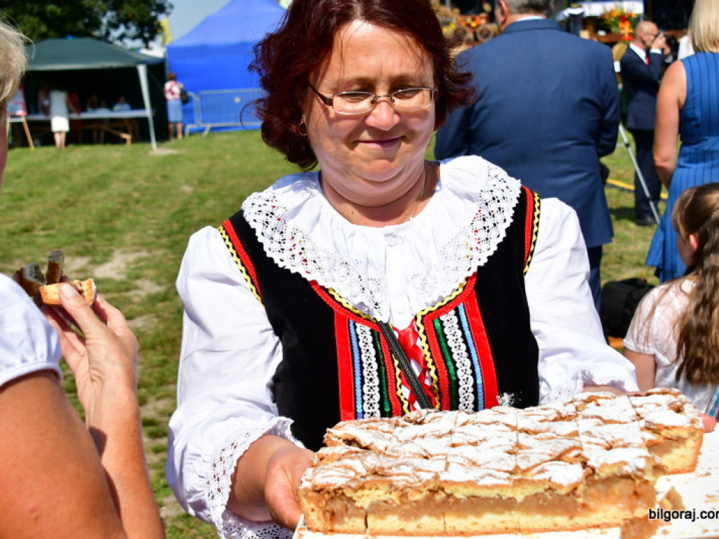 Dożynki powiatowe we Frampolu (FOTO, VIDEO)