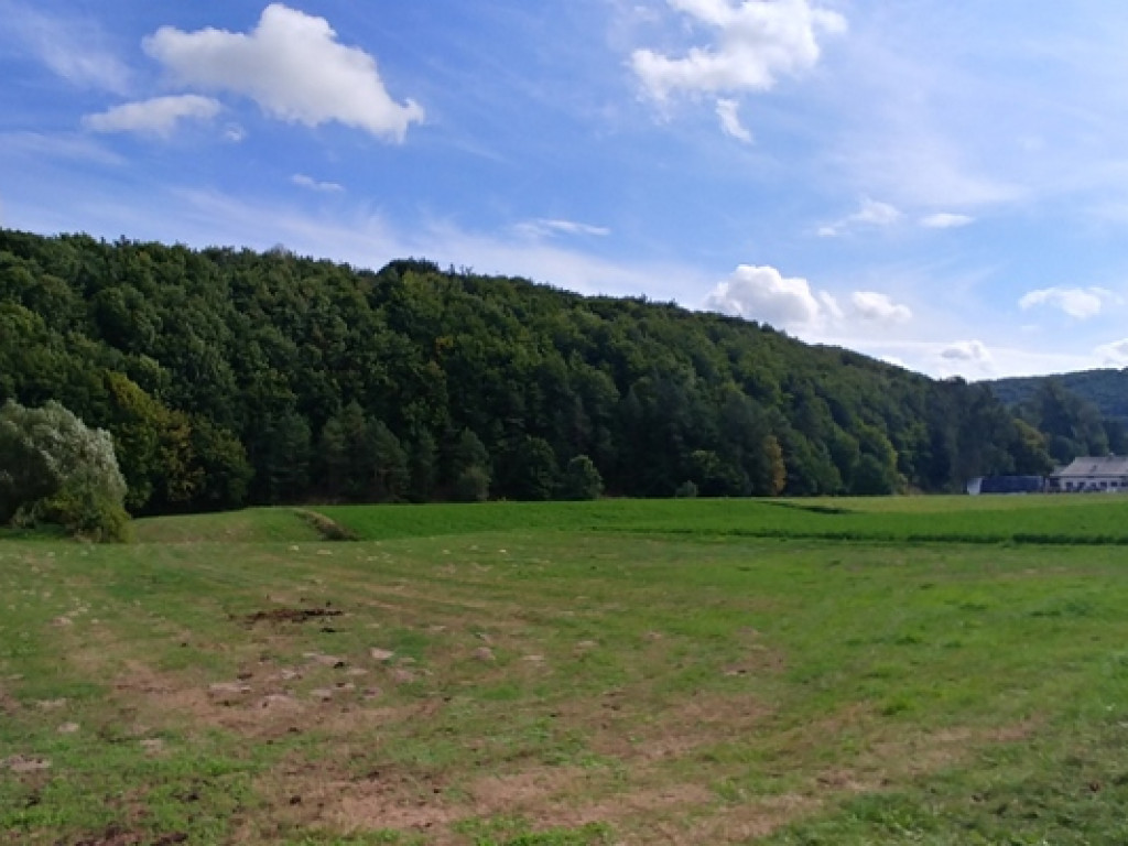 Na szlakach jastrzębiej zdebrzy (FOTO)