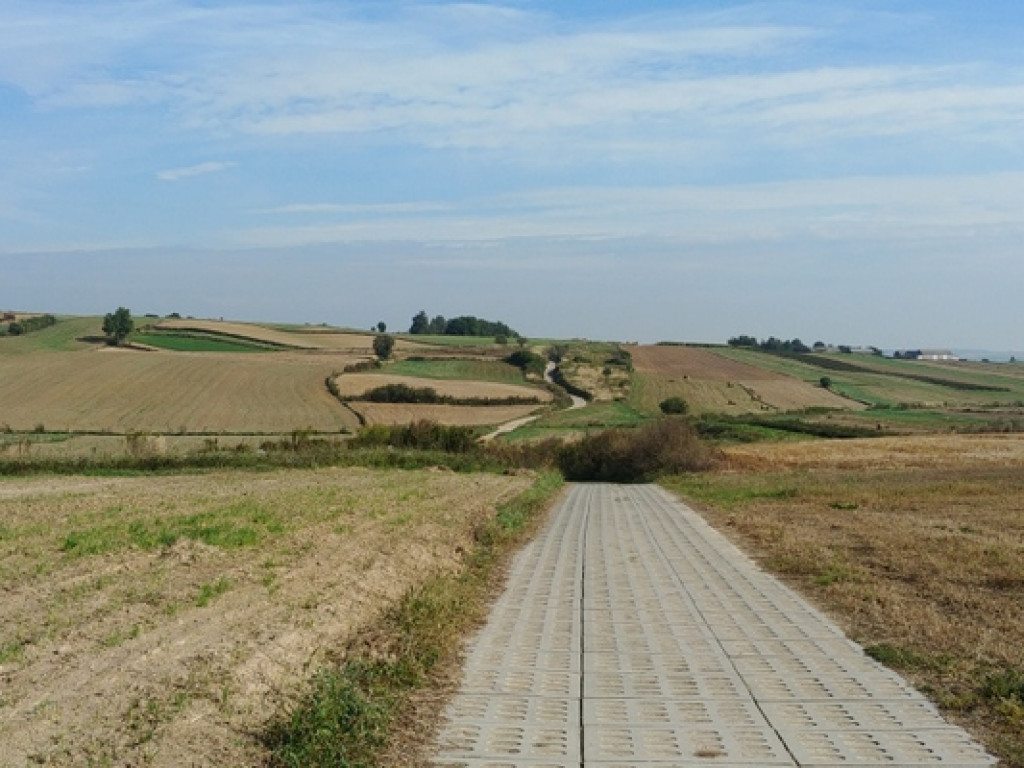 Na szlakach jastrzębiej zdebrzy (FOTO)