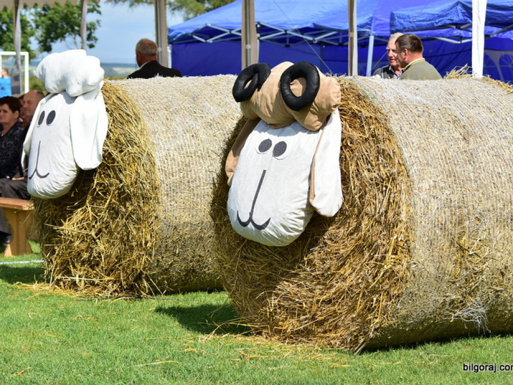 Dożynki w Turobinie (FOTO)
