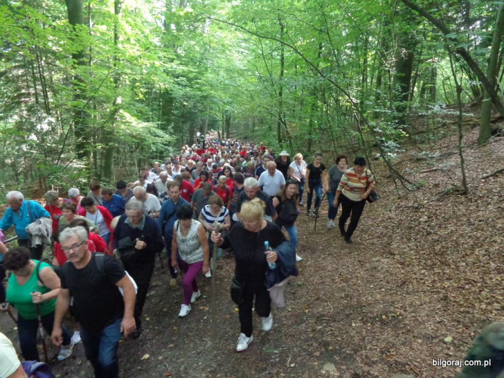 Pielgrzymka Honorowych Dawców Krwi (FOTO)