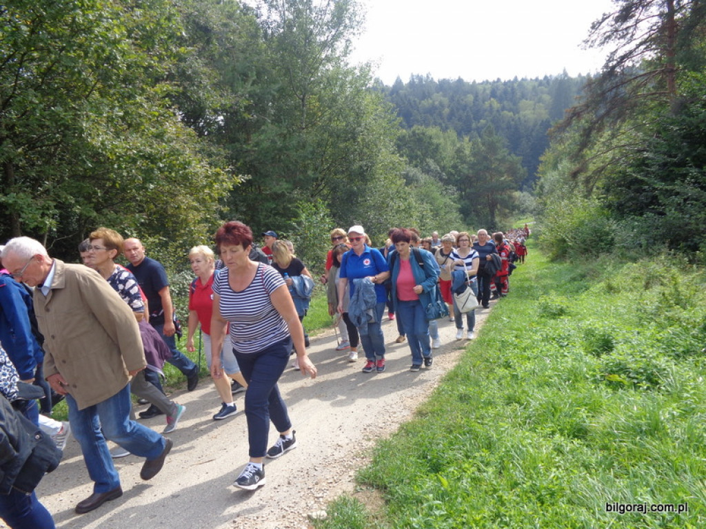 Pielgrzymka Honorowych Dawców Krwi (FOTO)