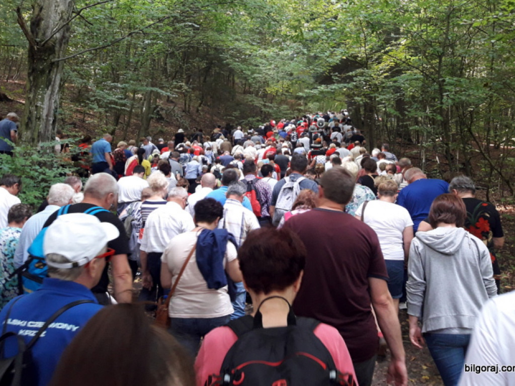 Pielgrzymka Honorowych Dawców Krwi (FOTO)
