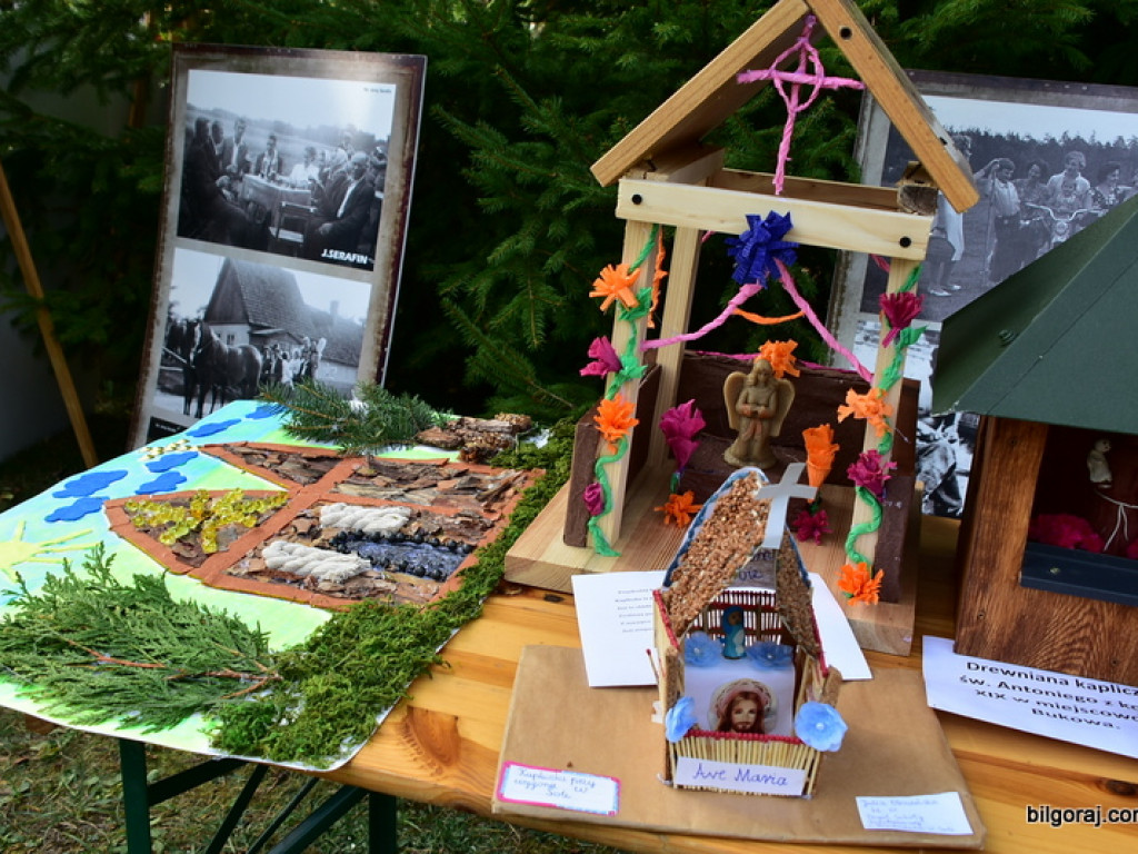 Piknik historyczny w Brodziakach (FOTO)