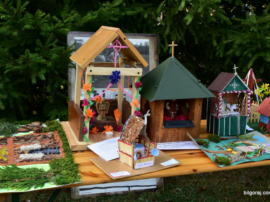 Piknik historyczny w Brodziakach (FOTO)