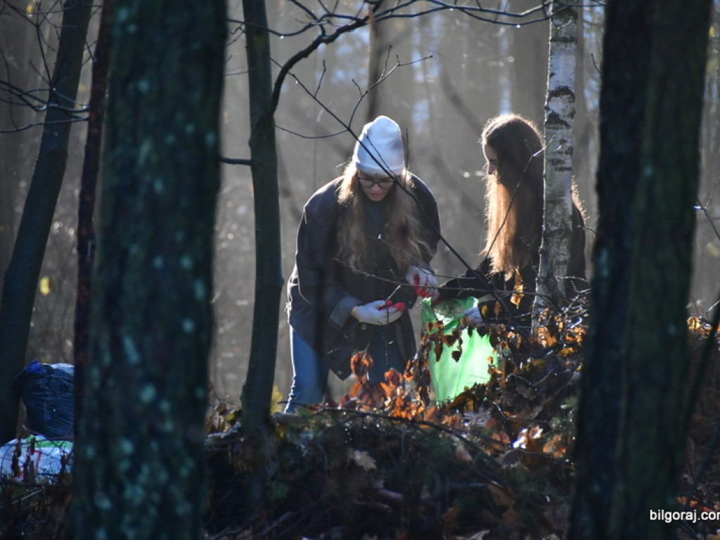 Sprzątali las Krasne koło Biłgoraja (FOTO)
