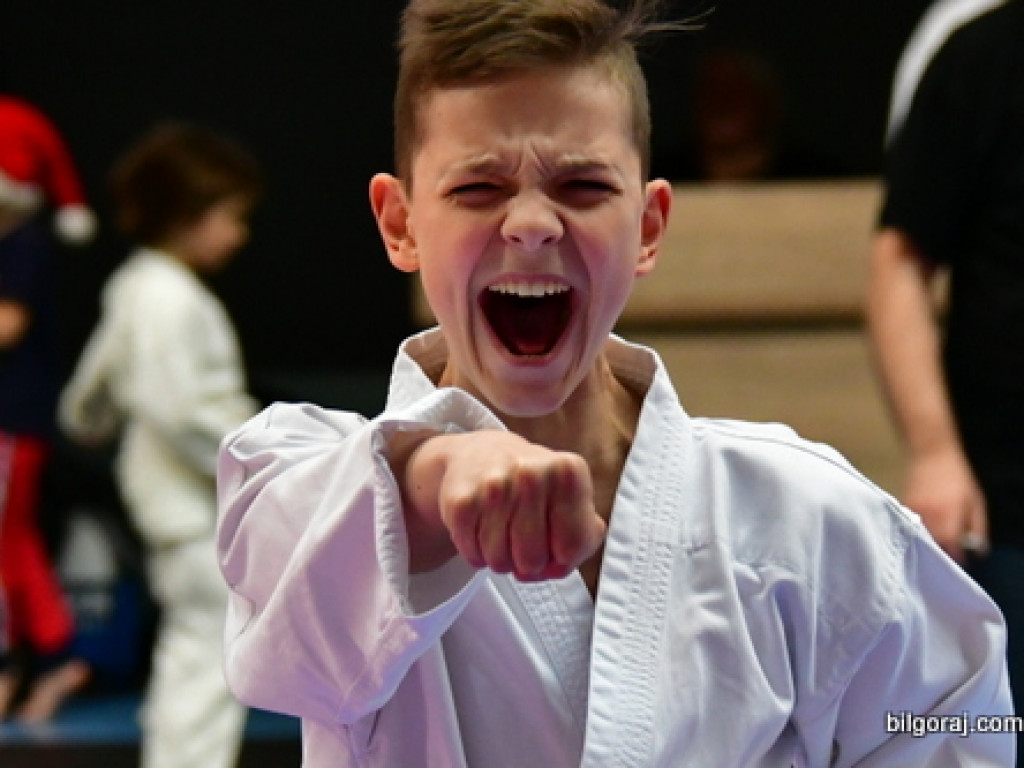 28. Mikołajkowy Turniej Karate Tradycyjnego dla Dzieci (FOTO)