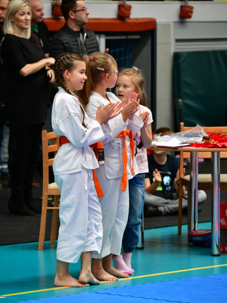 28. Mikołajkowy Turniej Karate Tradycyjnego dla Dzieci (FOTO)