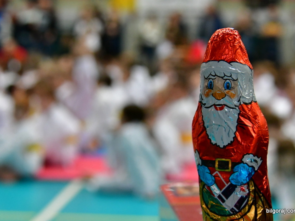28. Mikołajkowy Turniej Karate Tradycyjnego dla Dzieci (FOTO)