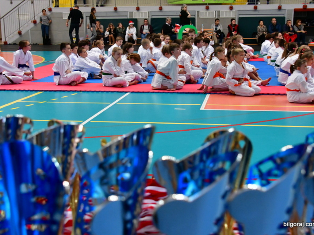 28. Mikołajkowy Turniej Karate Tradycyjnego dla Dzieci (FOTO)