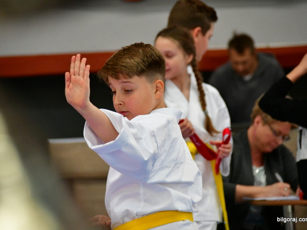 28. Mikołajkowy Turniej Karate Tradycyjnego dla Dzieci (FOTO)